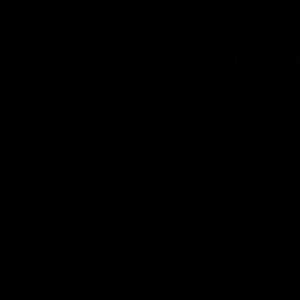 Meet your Posher, Natalia